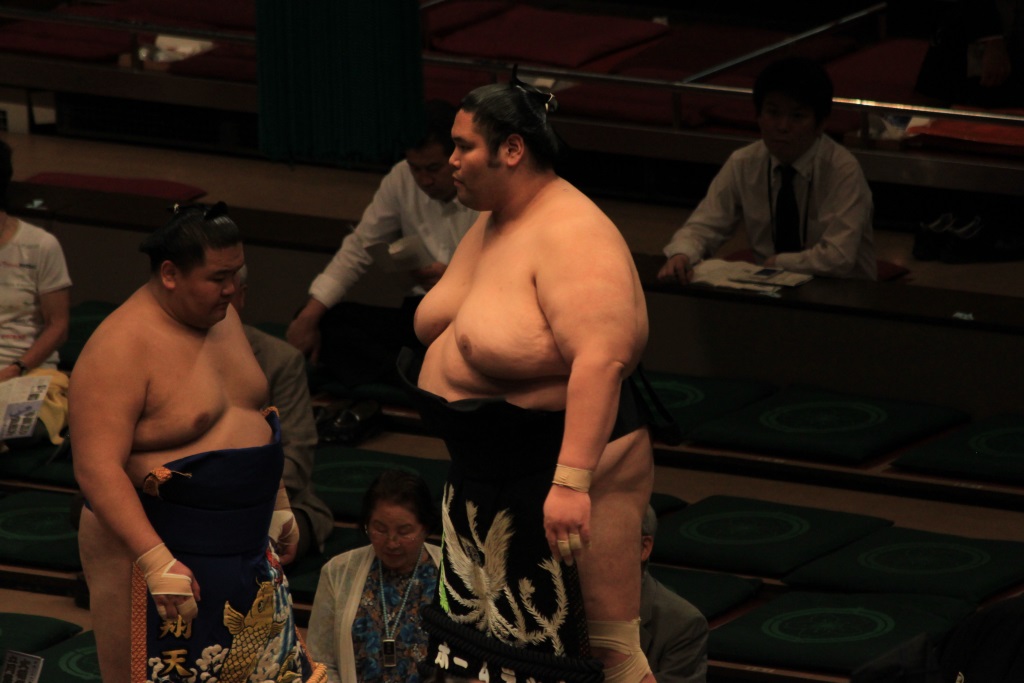 Un sumo japonais bien dodu