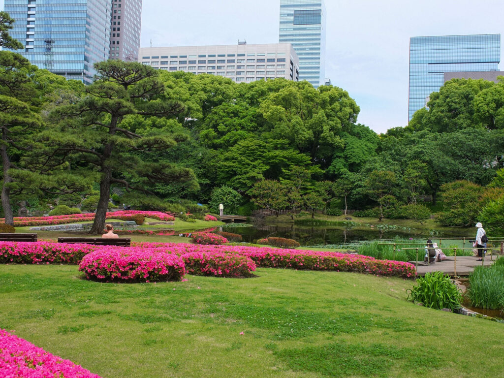 Contraste japonais, jardin au poil au coeur de la mégalopole