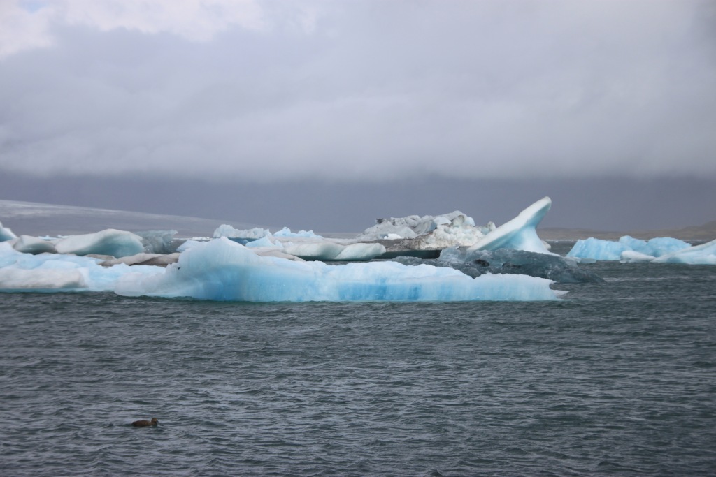 Icebergs au Jökulsárlón