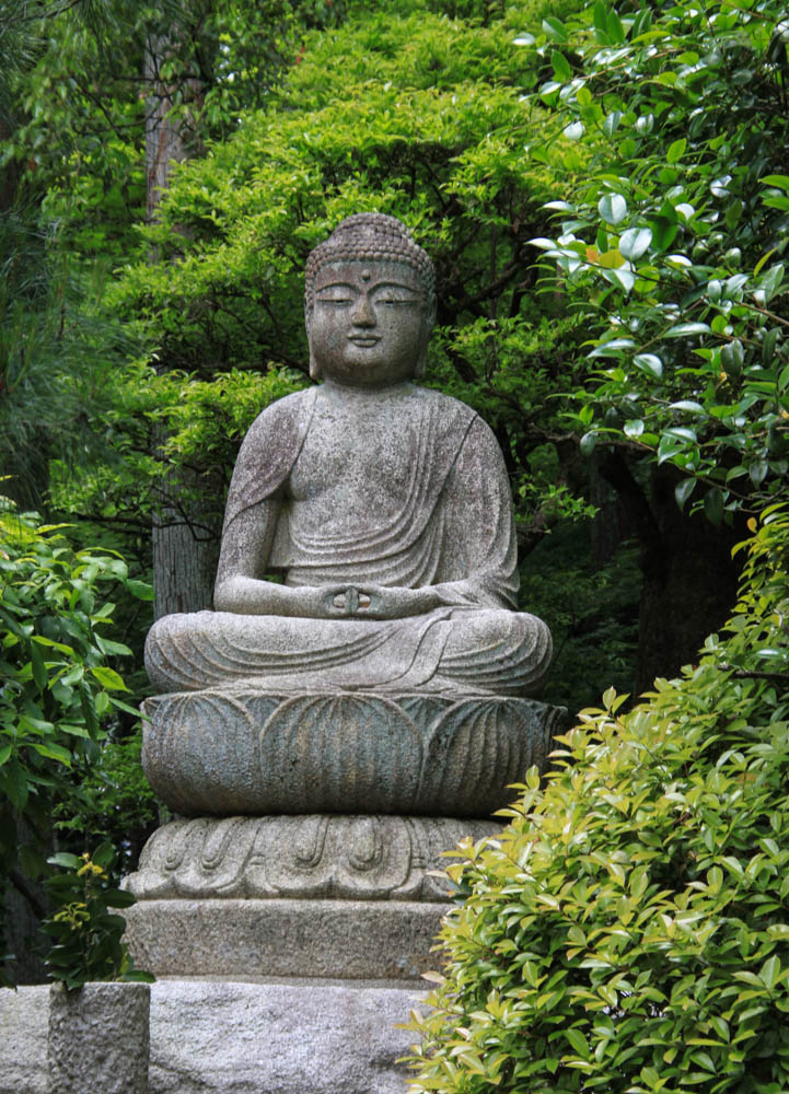 Bouddha veille